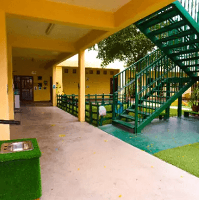 Instalación Bambú Montessori 5