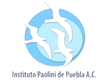 IPP